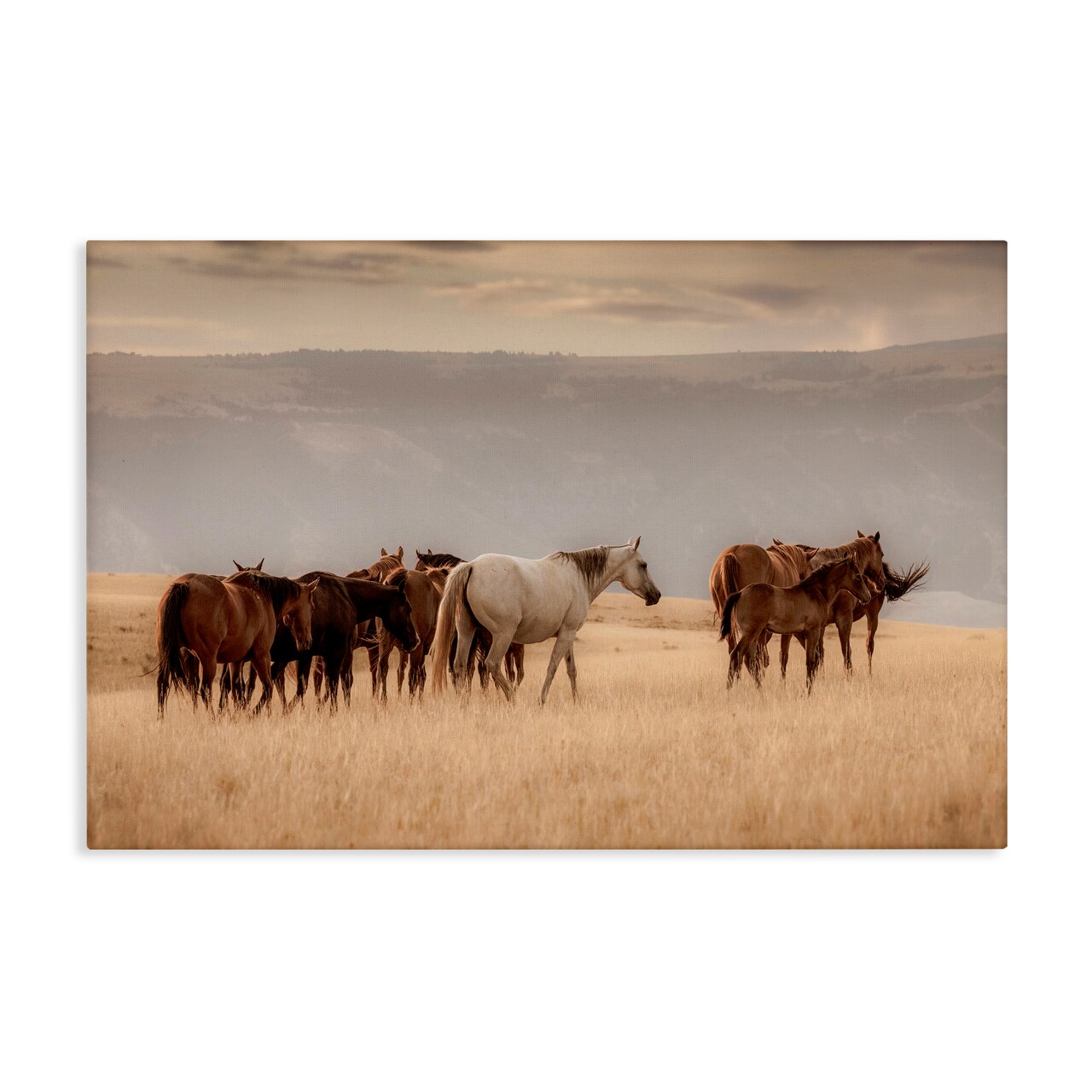 Stupell Industries Equestrian Montana Herd Canvas, design by Christy Berry